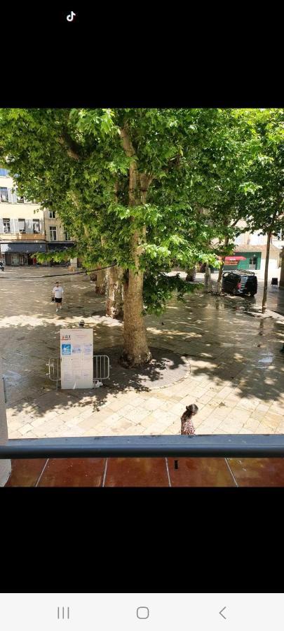 Bel Appartement , Plein Coeur D'普罗旺斯地区艾克斯 外观 照片